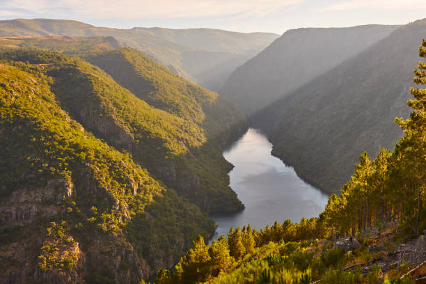 River canyon carved through the green granite hills of Ourense, Galicia