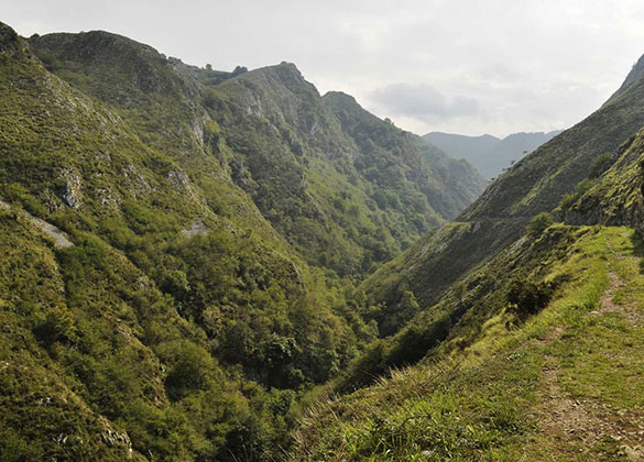 Green limestone gorge in the Asturian hills