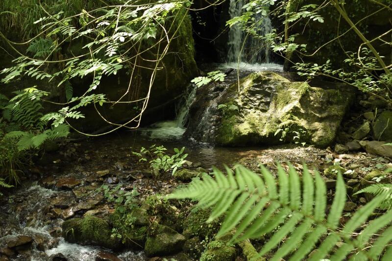 Waterfall over mossy rock on the Pendón river