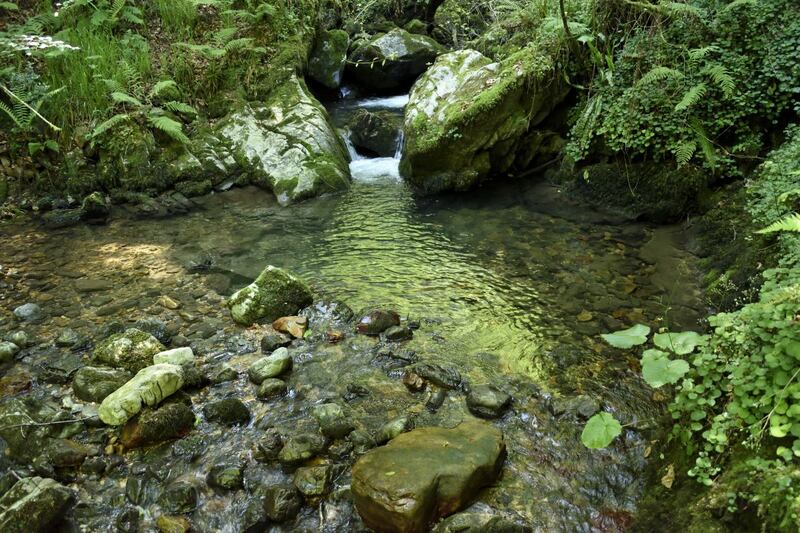 Clear pool beside the Pendón bridge