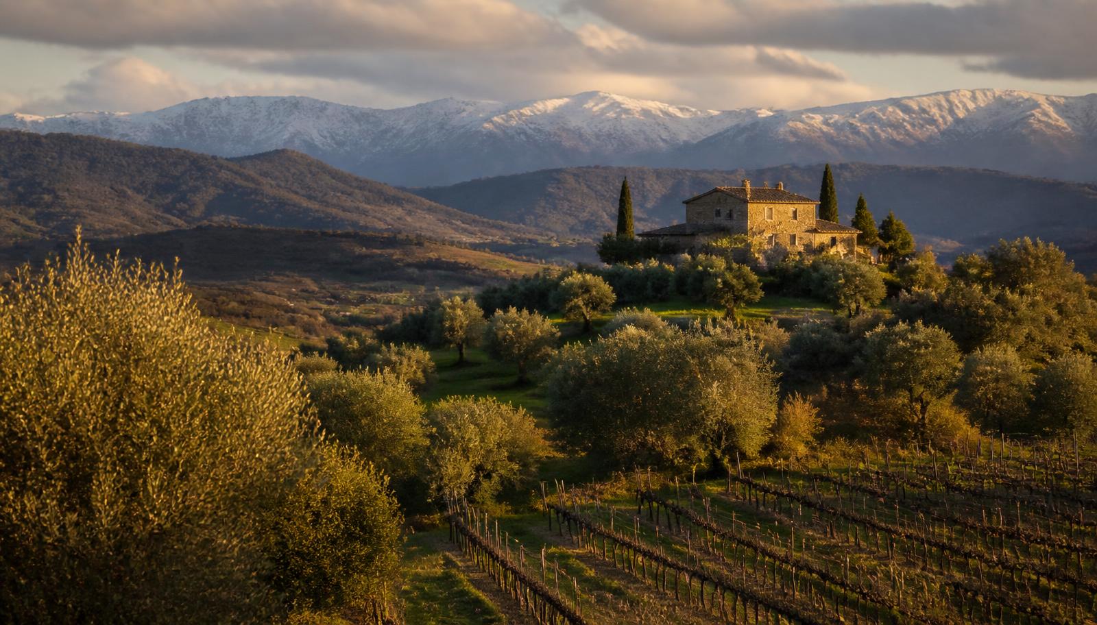 Olive groves and vineyards of Alt Empordà below the snow-capped Pyrenees